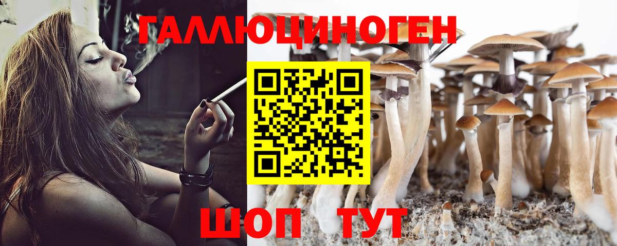 Галлюциногенные грибы Psilocybe  Вход с VPN  Абинск 