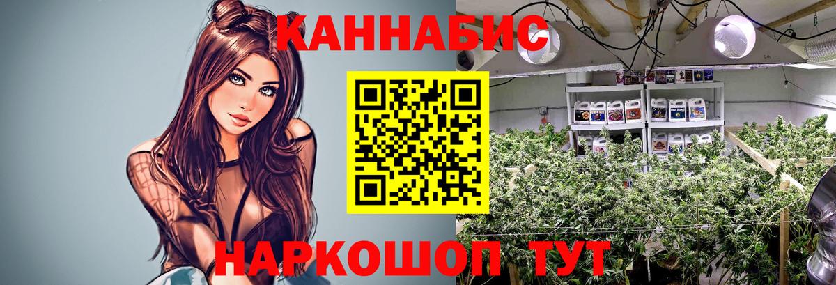 Бошки марихуана гибрид  Вход с VPN  Бошки марихуана конопля  Шишки марихуана Bruce Banner  Бошки Шишки White Widow  Абинск 